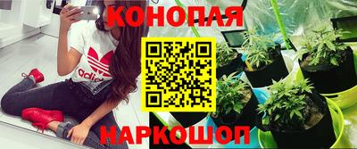 герыч Волгодонск