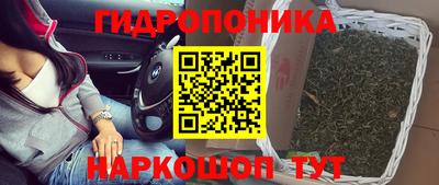молекула духа Волжск