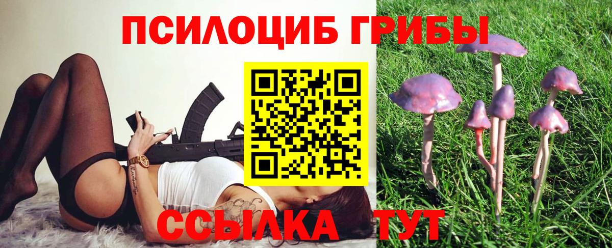 Назрань  Псилоцибиновые грибы GOLDEN TEACHER  Вход с VPN 